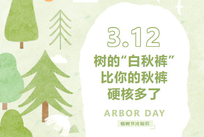 植树节冷知识：树的“白秋裤”，比你的秋裤硬核多了
